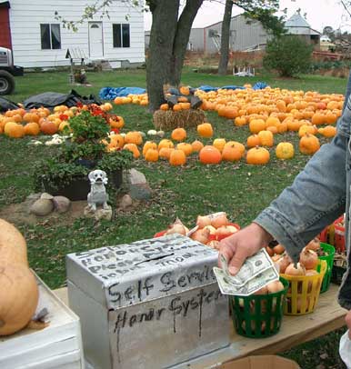 pumpkin-honor-system.jpg